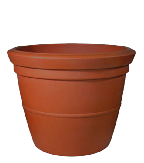 Traditional Vase image 0